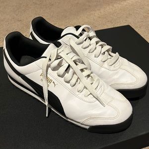 Puma Romas